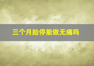 三个月胎停能做无痛吗