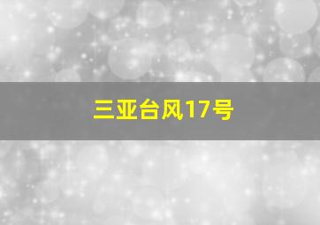 三亚台风17号