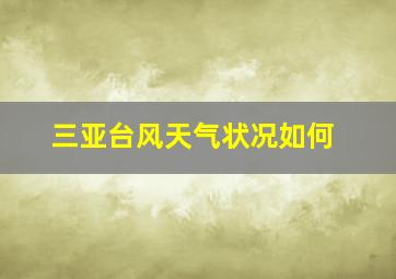 三亚台风天气状况如何