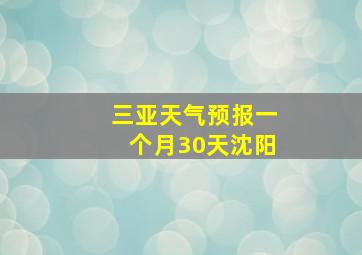 三亚天气预报一个月30天沈阳