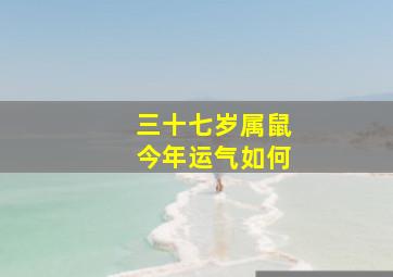 三十七岁属鼠今年运气如何