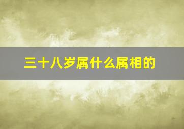 三十八岁属什么属相的