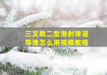 三叉戟二型潜射弹道导弹怎么用视频教程