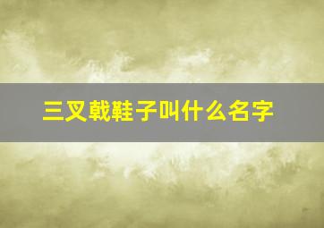 三叉戟鞋子叫什么名字