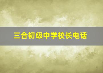 三合初级中学校长电话