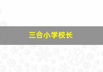 三合小学校长