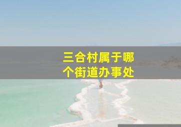 三合村属于哪个街道办事处