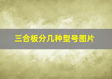 三合板分几种型号图片