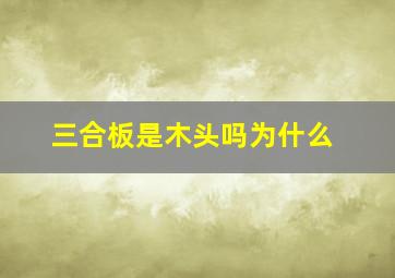 三合板是木头吗为什么