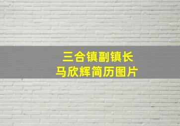 三合镇副镇长马欣辉简历图片