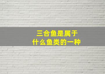 三合鱼是属于什么鱼类的一种