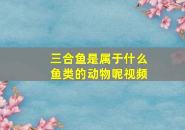 三合鱼是属于什么鱼类的动物呢视频