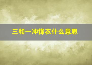 三和一冲锋衣什么意思