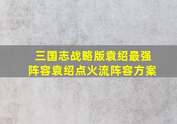 三国志战略版袁绍最强阵容袁绍点火流阵容方案