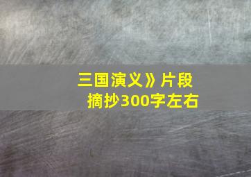 三国演义》片段摘抄300字左右