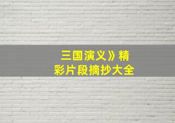 三国演义》精彩片段摘抄大全