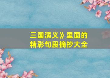 三国演义》里面的精彩句段摘抄大全