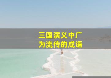 三国演义中广为流传的成语