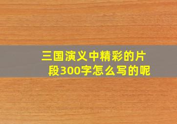 三国演义中精彩的片段300字怎么写的呢