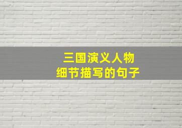 三国演义人物细节描写的句子