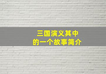 三国演义其中的一个故事简介