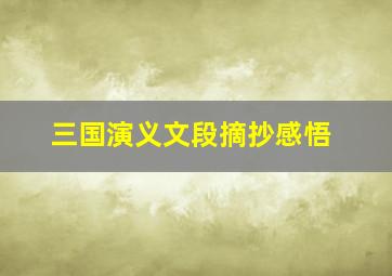 三国演义文段摘抄感悟