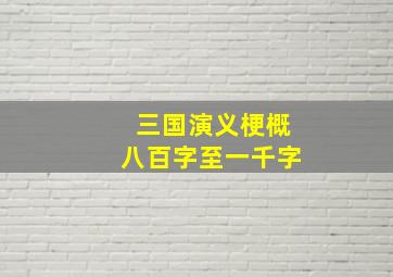 三国演义梗概八百字至一千字