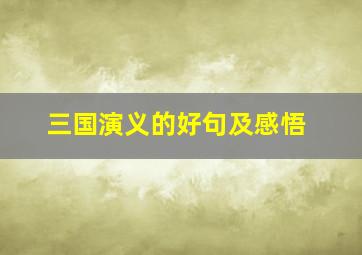 三国演义的好句及感悟