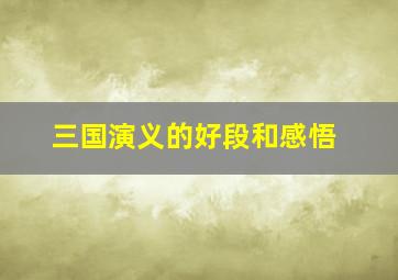 三国演义的好段和感悟