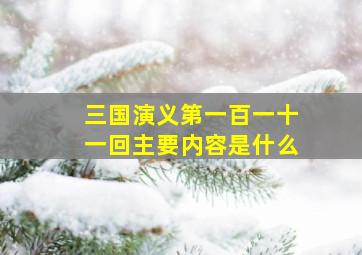 三国演义第一百一十一回主要内容是什么