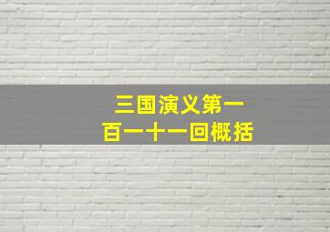 三国演义第一百一十一回概括