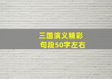 三国演义精彩句段50字左右