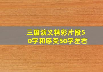 三国演义精彩片段50字和感受50字左右