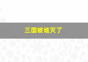 三国被谁灭了