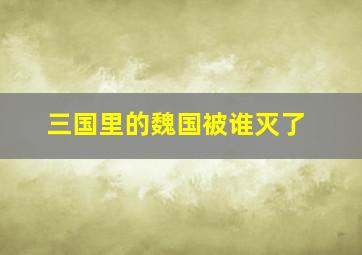 三国里的魏国被谁灭了