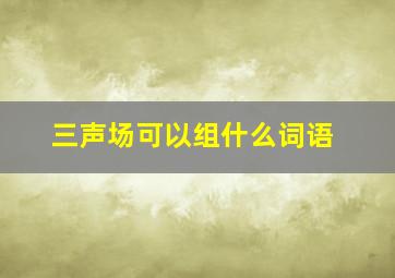 三声场可以组什么词语