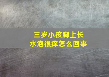 三岁小孩脚上长水泡很痒怎么回事