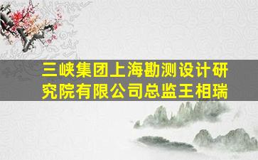 三峡集团上海勘测设计研究院有限公司总监王相瑞