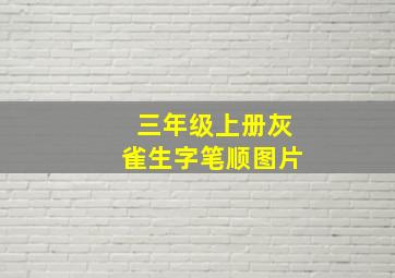 三年级上册灰雀生字笔顺图片