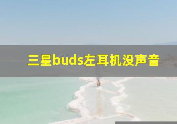 三星buds左耳机没声音