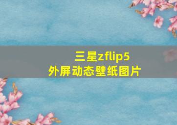 三星zflip5外屏动态壁纸图片