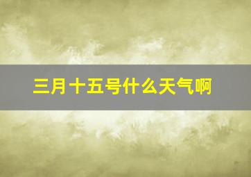 三月十五号什么天气啊