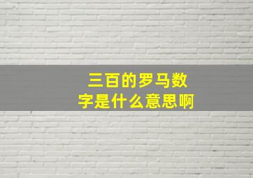 三百的罗马数字是什么意思啊