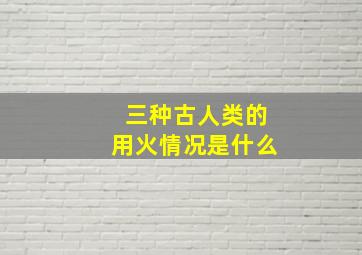 三种古人类的用火情况是什么