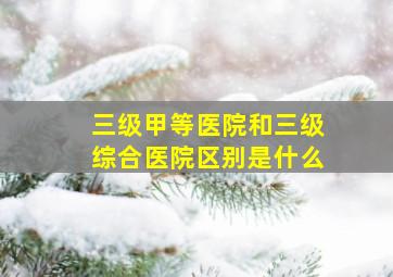 三级甲等医院和三级综合医院区别是什么