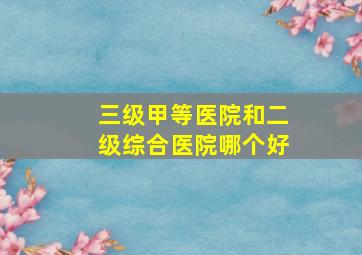 三级甲等医院和二级综合医院哪个好