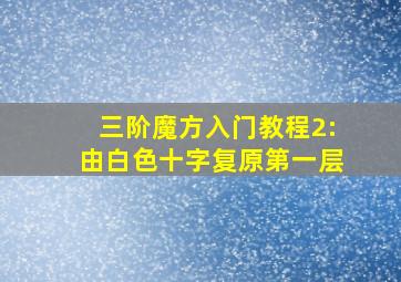 三阶魔方入门教程2:由白色十字复原第一层