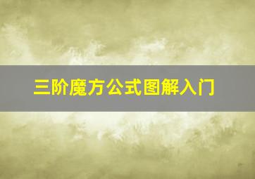 三阶魔方公式图解入门