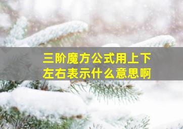 三阶魔方公式用上下左右表示什么意思啊