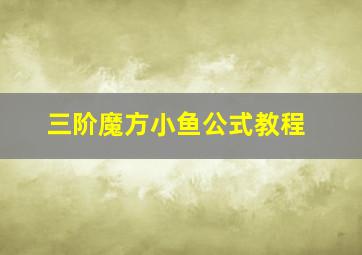 三阶魔方小鱼公式教程